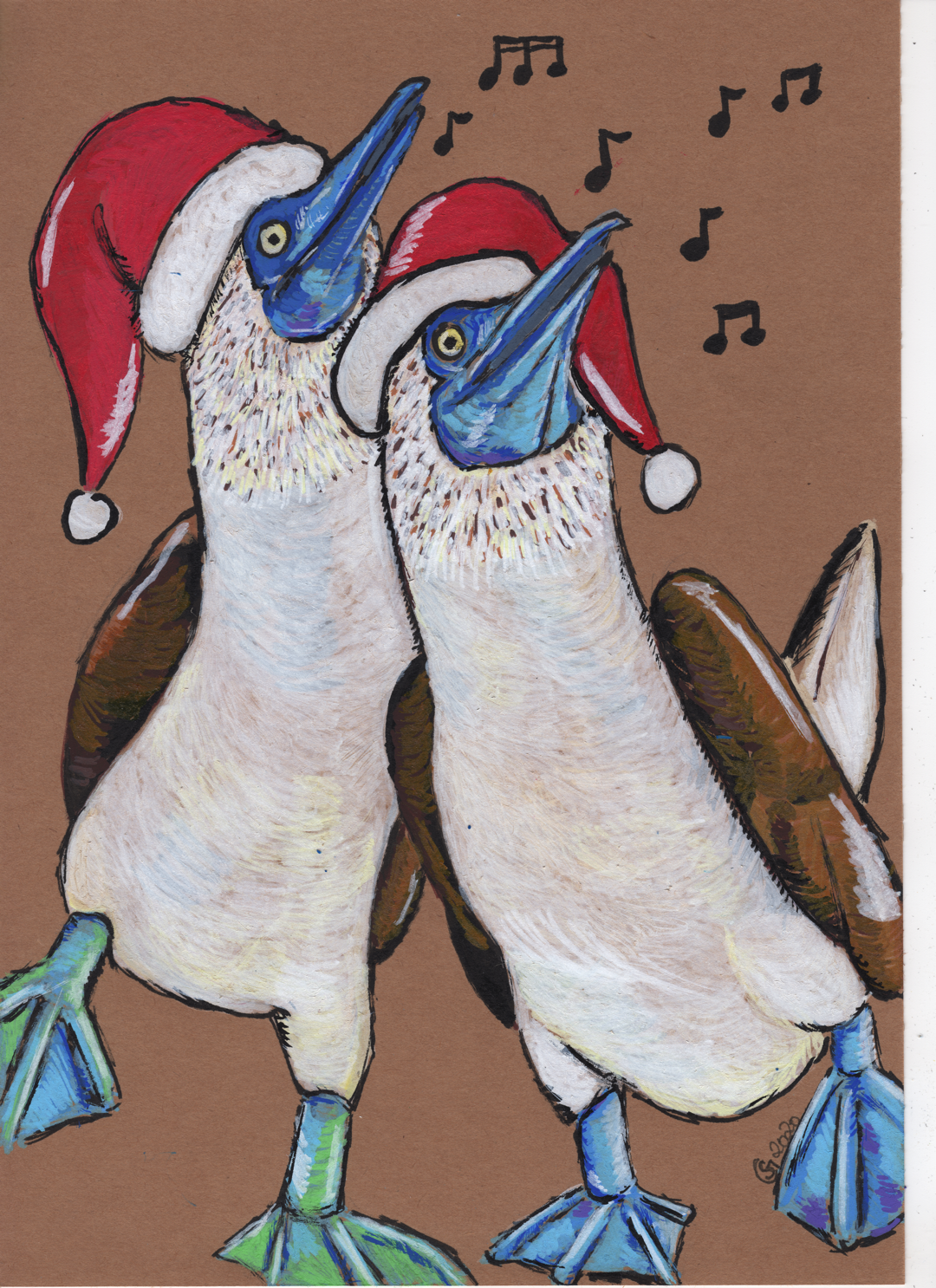 Blue-Footed Boobies Christmas – Ladysunnivas Art